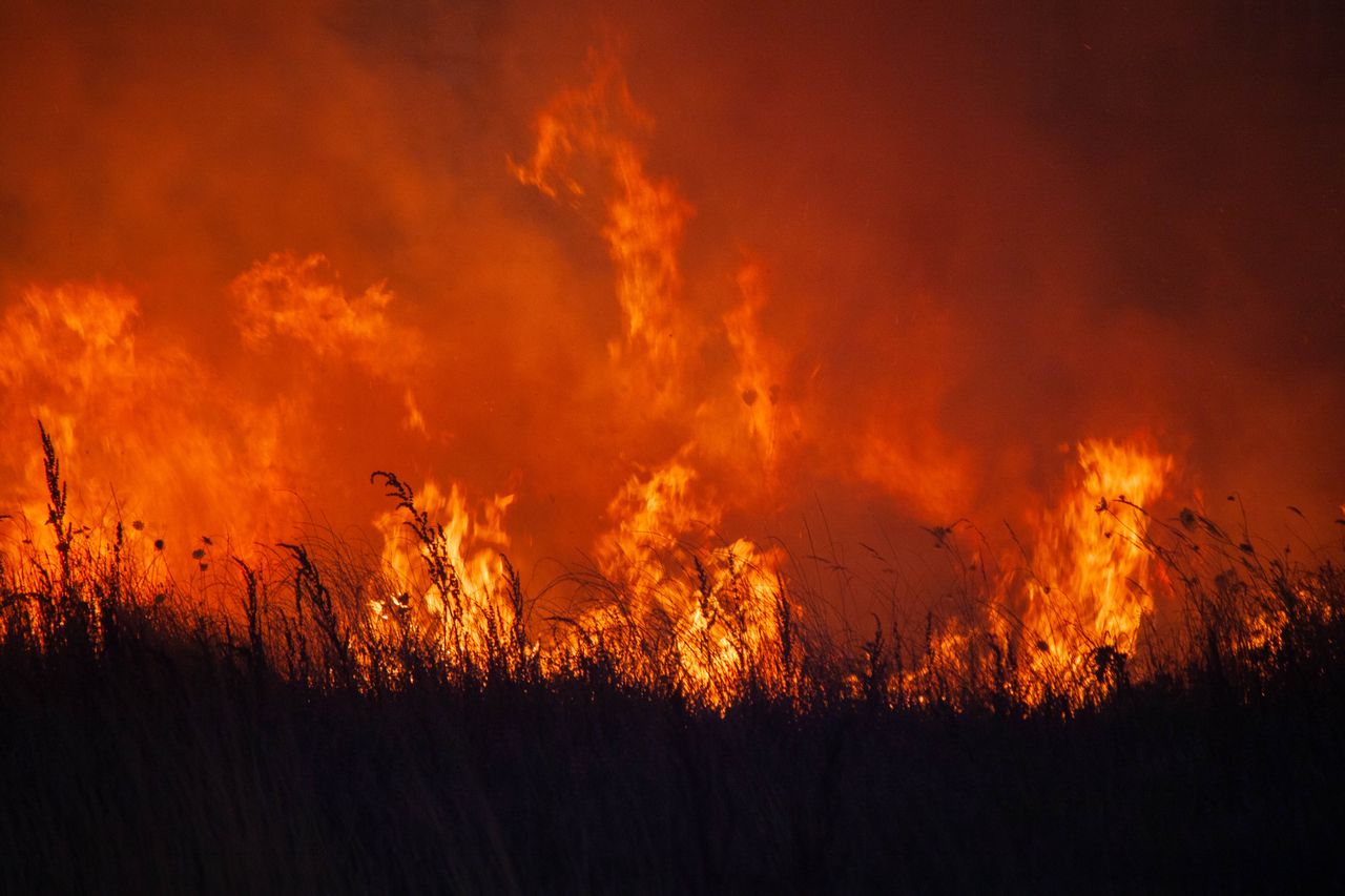 Lebanese rescuers accuse Israel of deliberately setting wildfires