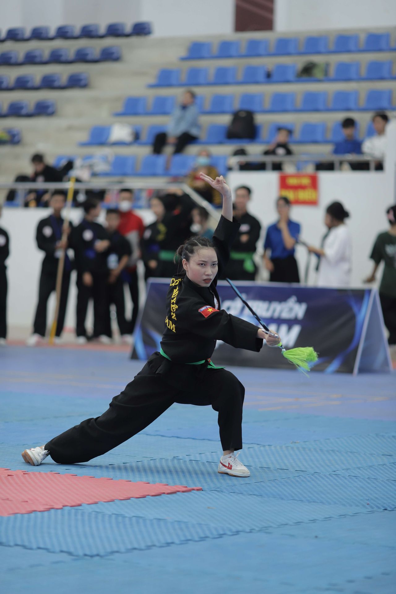 1,600 Athletes Participated in the First Yongchun White Crane Kung Fu Tournament